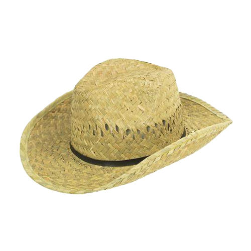 Assorted Gold Coast Sun Hats